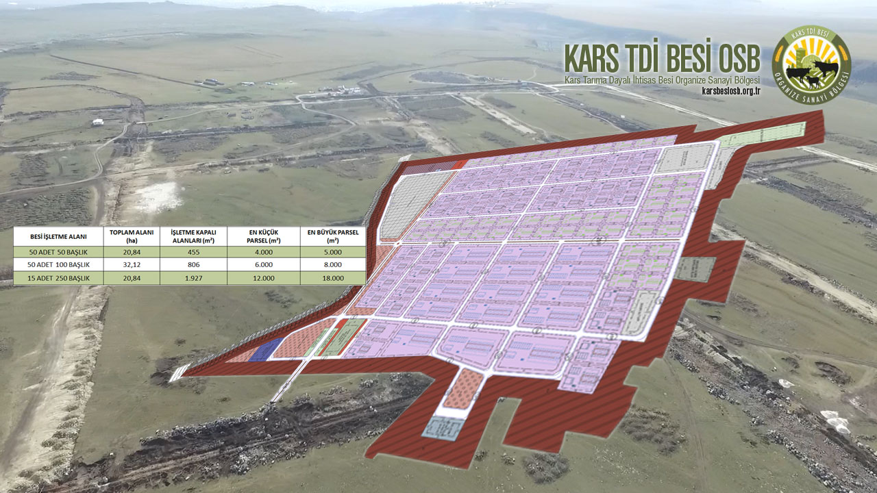 Proje Çalışması