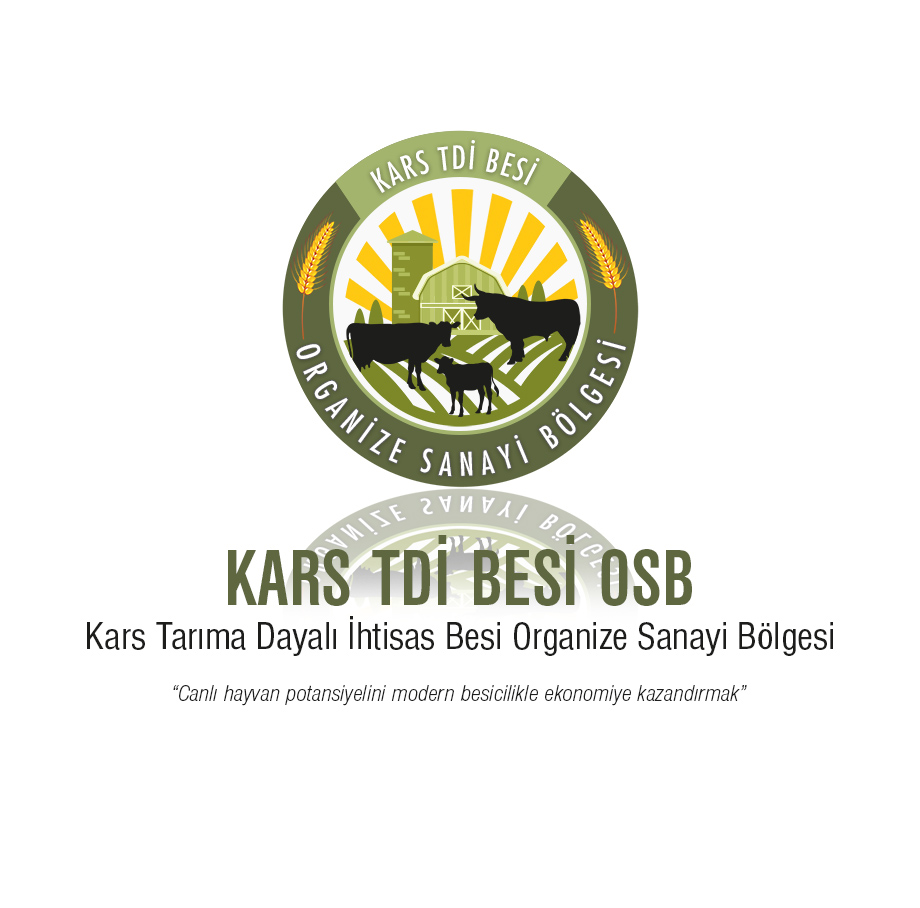 Osman CENGİZ